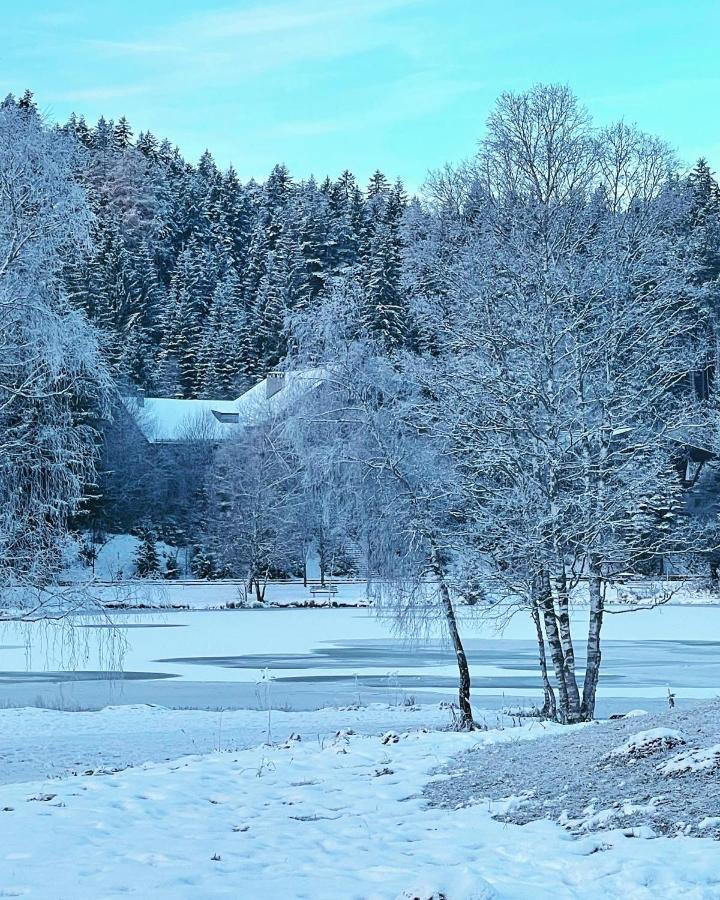 Lakeside Apartments Seefeld Seefeld in Tirol Ngoại thất bức ảnh