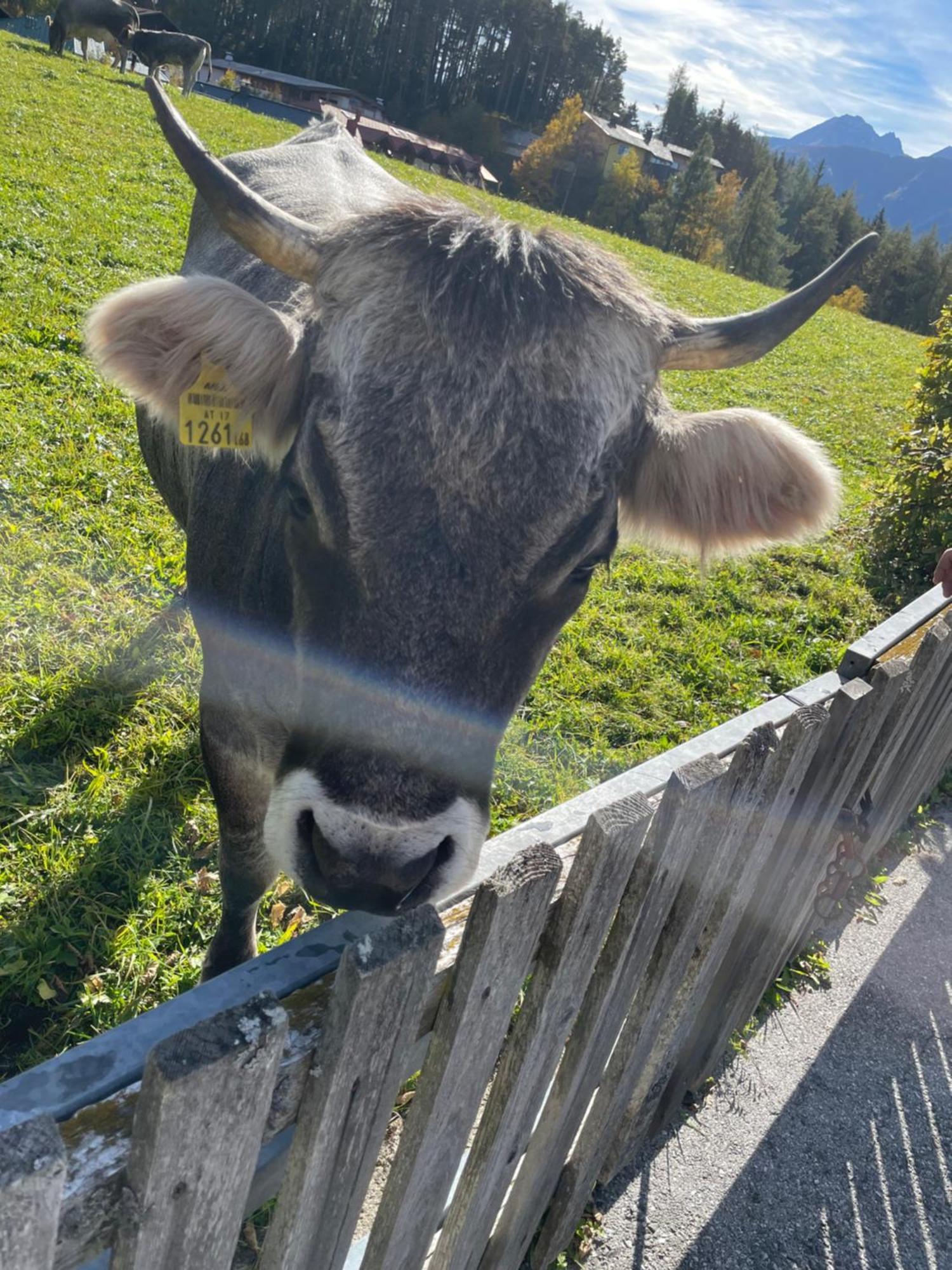 Lakeside Apartments Seefeld Seefeld in Tirol Ngoại thất bức ảnh